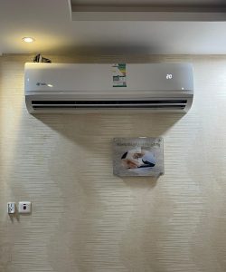 malekstoreksa (14)