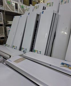malekstoreksa (17)