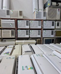 malekstoreksa (2)